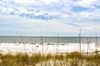 1175 Alligator Point photo
